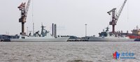 鸡兵中文版下载